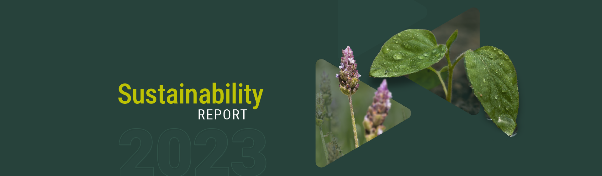 2023 Sustainability Report 